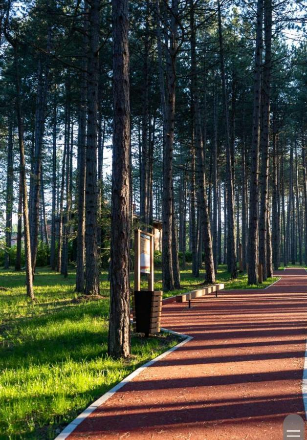 Apartman Pavle Златибор Экстерьер фото
